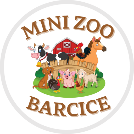 Mini Zoo Barcice